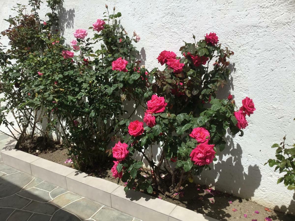 Lemonia Holiday home Kastron (Sifnos)